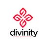 Divinity LLC