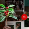 Caplei - Coffee Shops & Cafes Shopify 2.0 Theme