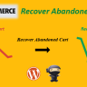 WooCommerce Recover Abandoned Cart By FantasticPlugins