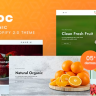 Fashoc - Fruits Organic Responsive Shopify 2.0 Theme